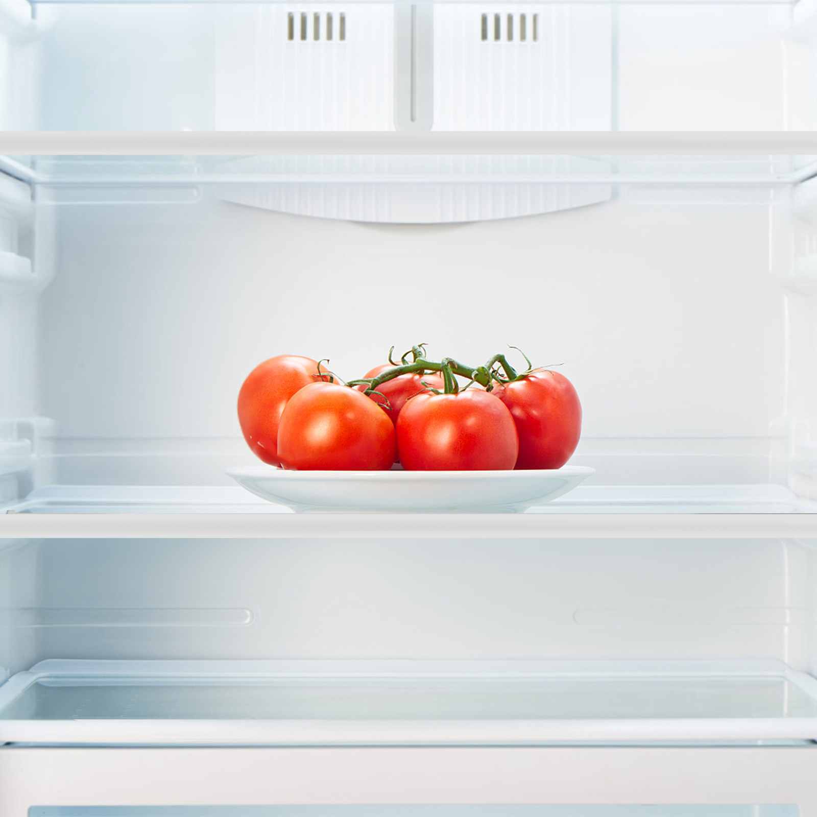 رف فاصل للثلاجة من الزجاج المق - مراجعة Food Storage Dividers وسعره