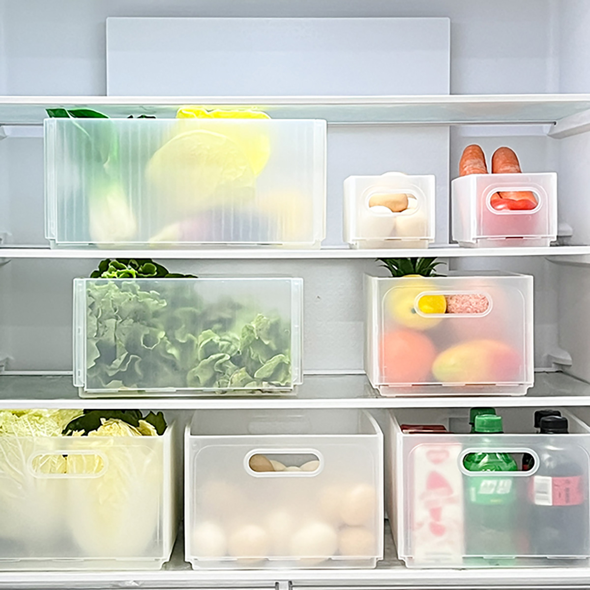 صندوق تخزين الثلاجة البلاستيكي - مراجعة Xxl Food Storage Container وسعره