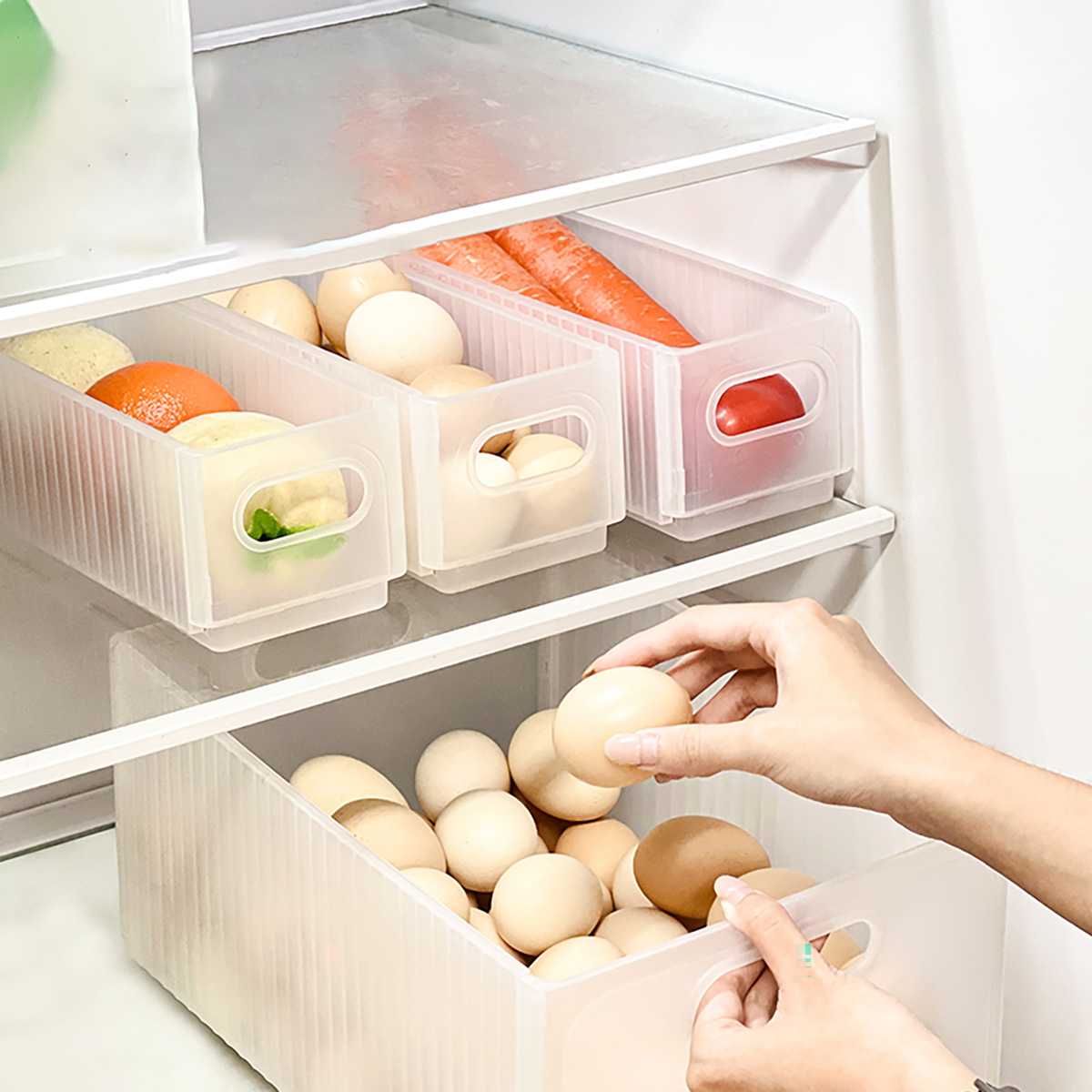 صندوق تخزين الثلاجة البلاستيكي - مراجعة Xxl Food Storage Container وسعره