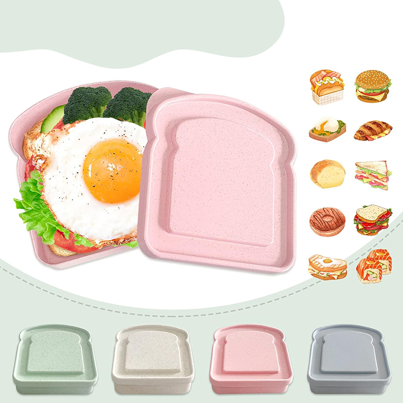 حاويات الساندويتش صندوق الغداء - مراجعة Food Storage Made Easy وسعره