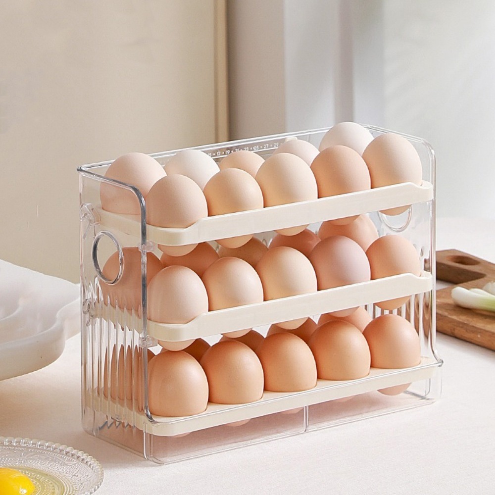 صندوق تخزين البيض البلاستيكي ا - مراجعة Food Storage Practices وسعره