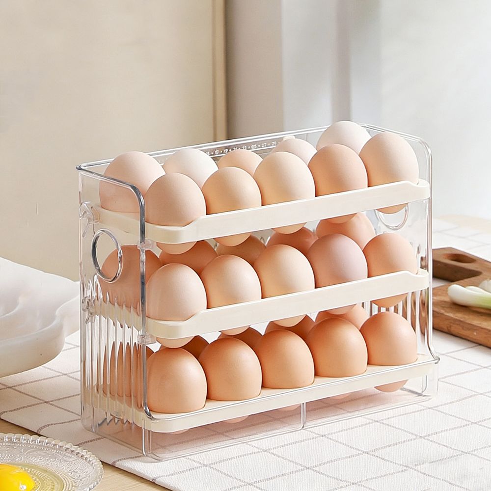 صندوق تخزين البيض البلاستيكي ا - مراجعة Food Storage Practices وسعره