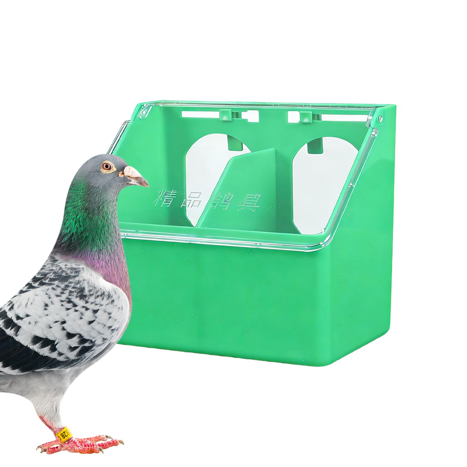 صندوق تغذية الطيور المعلق، مغذ - مراجعة Xxl Food Storage Container وسعره