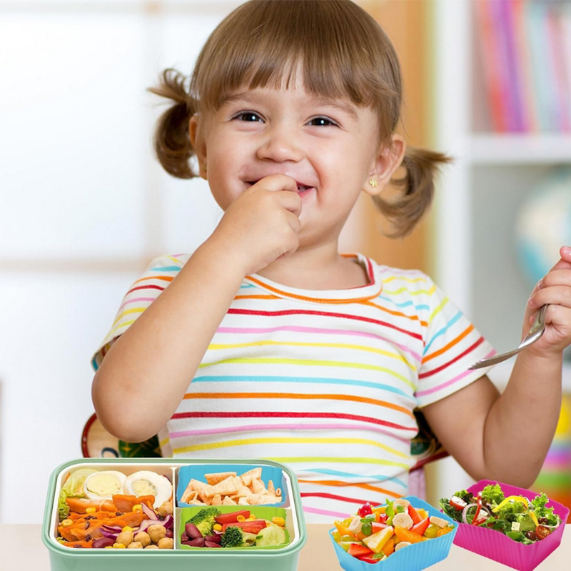8 قطع من فواصل علب الغداء السي - مراجعة Food Storage Dividers وسعره