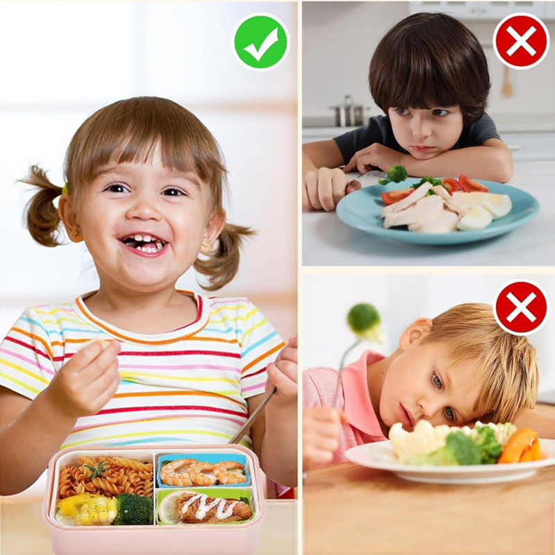 8 قطع من فواصل علب الغداء السي - مراجعة Food Storage Dividers وسعره